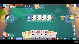 八雀狗都不玩！！！！