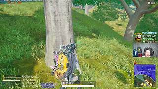 七点心眼豆子局