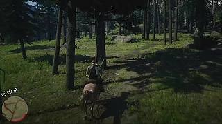 四少的直播间 6879209