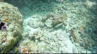 早上11点左右见~