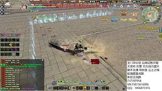 办卡看号 论剑 雨林萌新攻略