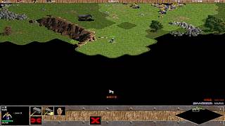 蜜蜜狗爱打罗马