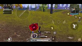 小白多多关照 9164531