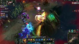 黑色玫瑰 直接上车 10339838