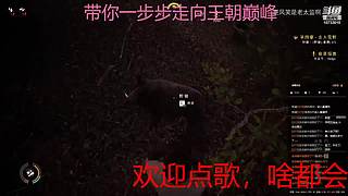 下饭的菜鸡主播 10733010