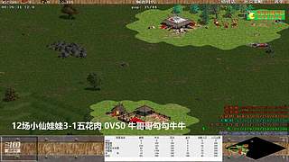 不会打罗马的姐姐的直播间