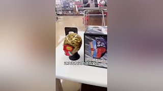 带你一起逛秋叶原