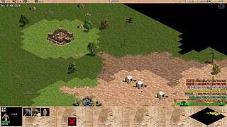 龙泉疯子的直播间