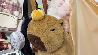 遇事不决可问春风，脚下无路山自有答