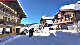 4837387小沫带您走进治愈系的风景里