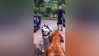 星球大战前线2玩玩看。