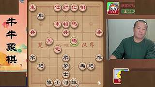 牛牛象棋的直播间