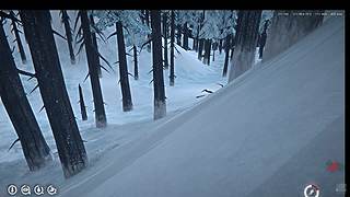 Hikari38516的直播间