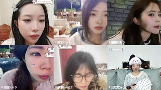 下田插过秧，也为哥哥踏过鸭绿江