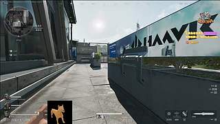 【小白鸽】和旭旭玩