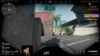 【小白鸽】和旭旭玩