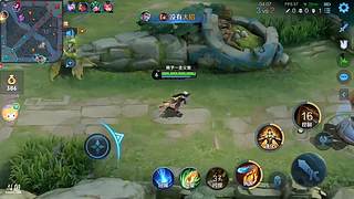 热老师：今天由猫带班