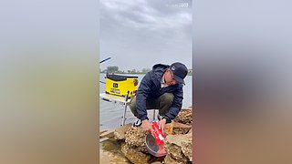 亮gnailux的直播间