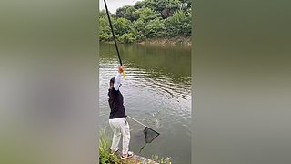 亮gnailux的直播间