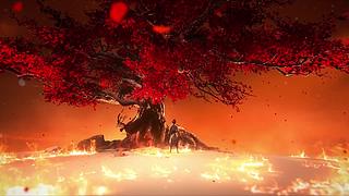 2024网易游戏520发布会