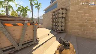 完美上赛季S，5ED冲S，30天努力版