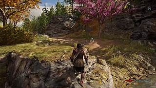 刺客信条-奥德赛 【这是录播】