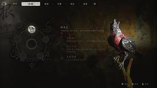 asdasdasdasasdasfgff