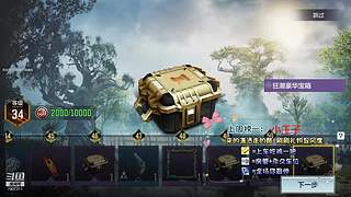 国服第一AKS大师小菜鸡