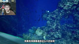 【神戳戳的苏神】各类恐怖游戏解说流程实况