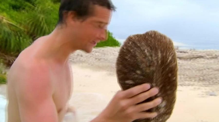 荒野求生，带大家体验不一样的生活