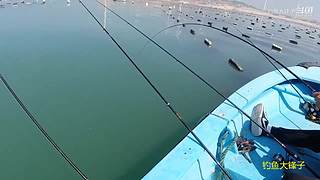 感谢钓友关注，每天分享鱼乐