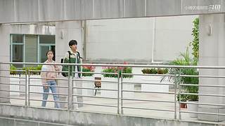 跟着小猪一起看【热剧联播】