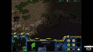 星际老菜鸟，绝色直播间