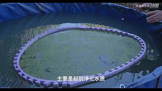 娱乐大于一切 10440627