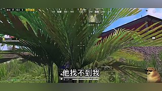 南柯又白给了的直播间