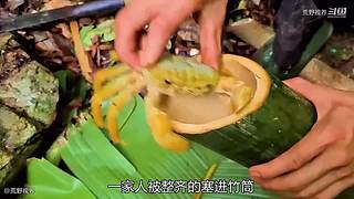 越南小哥的丛林生活