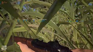 随意播，在于娱乐。