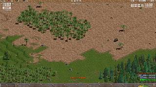 超菜菜鸟的直播间