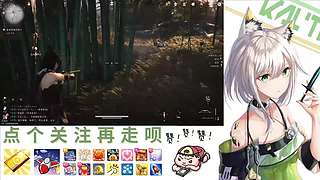 在下林凡，请指教！