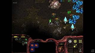 用户2397909425的直播间