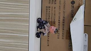 问问而已o别动的直播间