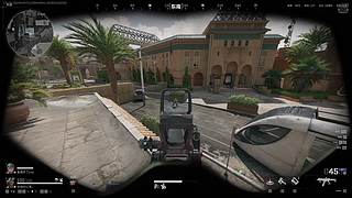 护航界的一棵草