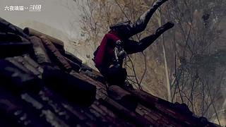 人屠双边下饭猫