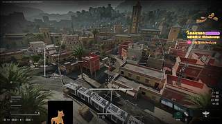 【小白鸽】竞拍之王的王