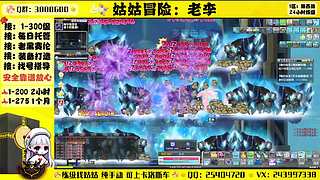 冒险岛回归导师