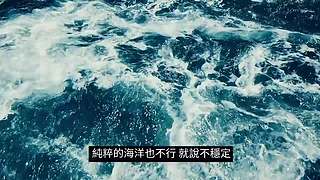 老高与小茉的睡前科普（持续更新中）