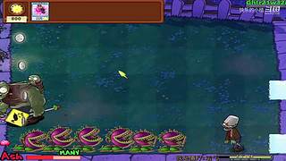 宝子们，开席了！