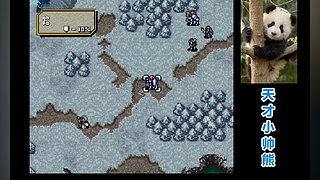 天才小帅熊的直播间