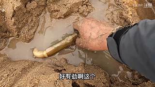 大齐赶海，又是出大货的一天