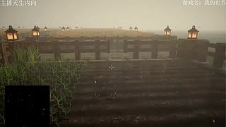 电影级画质，失眠者福音~